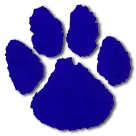 Southern Academy logo