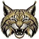 Wayne County High School logo