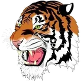 St. John High School logo