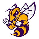 Chester High School logo